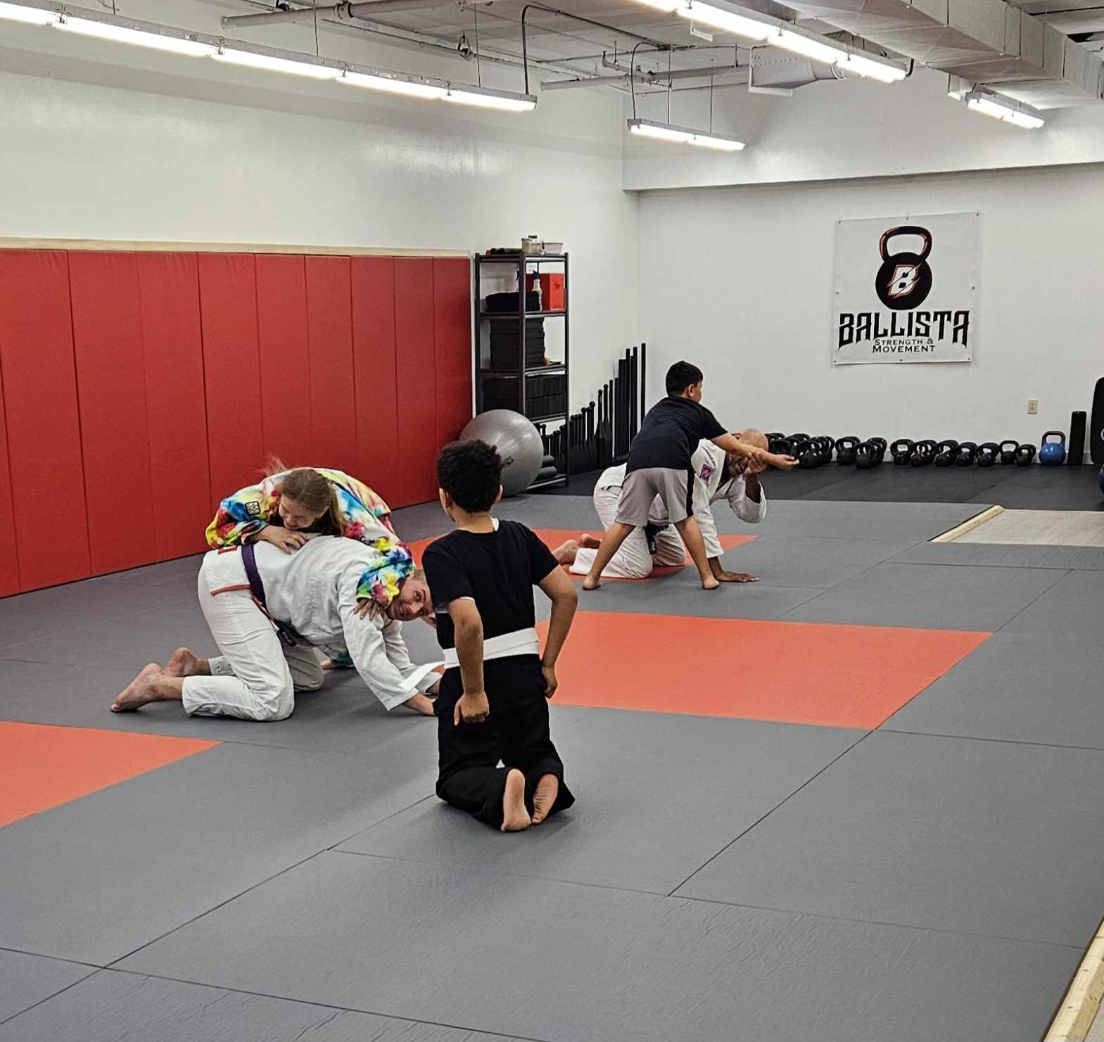 Boone County Jiu-Jitsu Memberships image